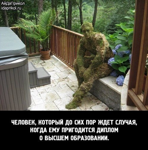 Забавные фотомемы (15 шт) Забавные фотомемы (15 шт)