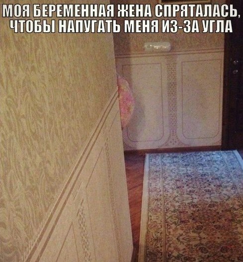 Забавные фотомемы (15 шт) Забавные фотомемы (15 шт)