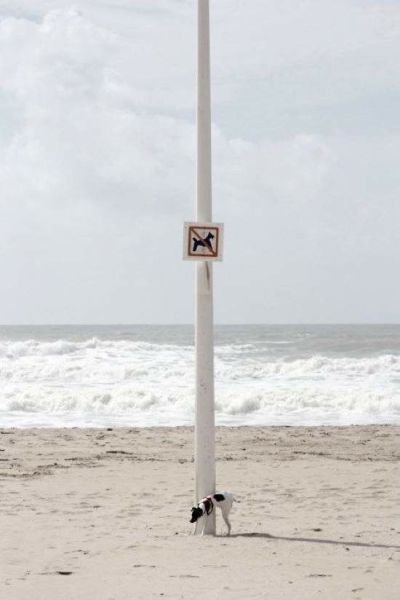 Позитив в весёлых картинках (77 шт) Позитив в весёлых картинках (77 шт)