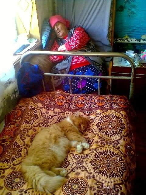 Позитив в весёлых картинках (77 шт) Позитив в весёлых картинках (77 шт)