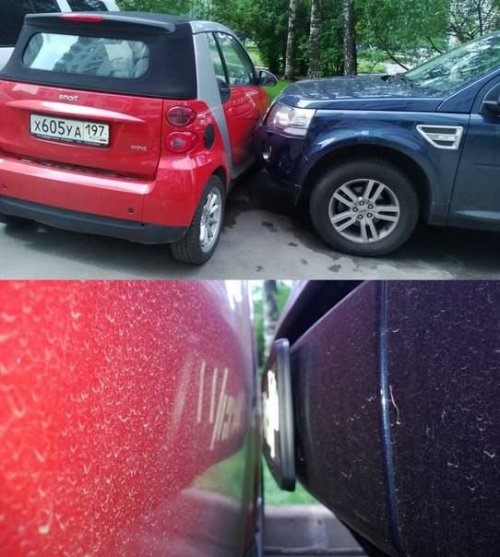 Фотоприколы на автотематику (31 шт)