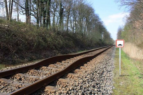 Фотоприколы на автотематику (31 шт)