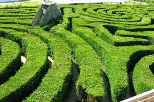 Longleat Hedge Maze: самый длинный в своём роде лабиринт в мире (8 фото)