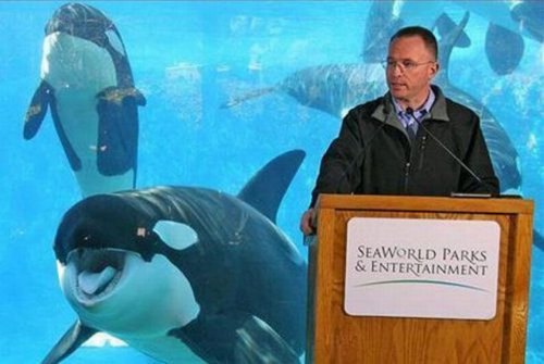 Прикольные фотобомбы (26 шт)