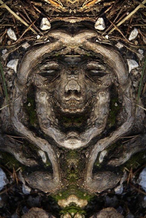 Я есть Грут (20 фото) Я есть Грут (20 фото)