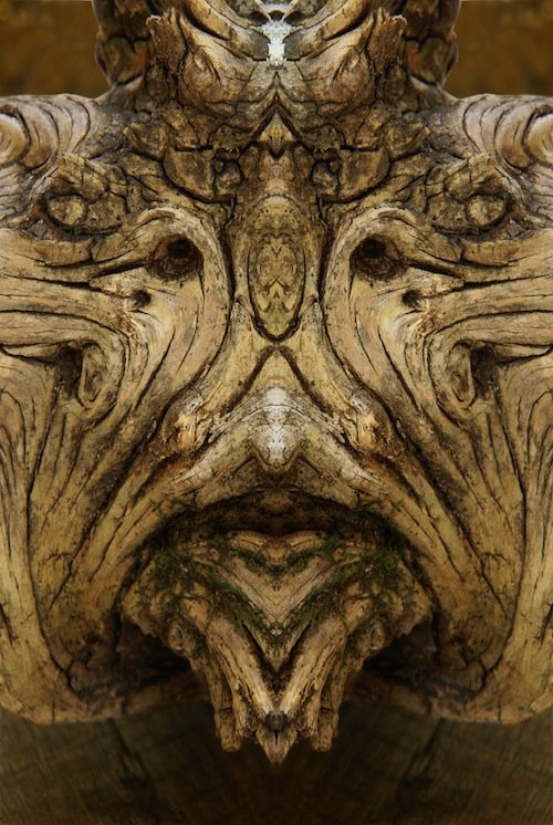 Я есть Грут (20 фото) Я есть Грут (20 фото)