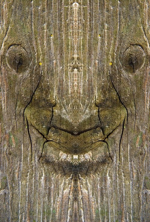 Я есть Грут (20 фото)