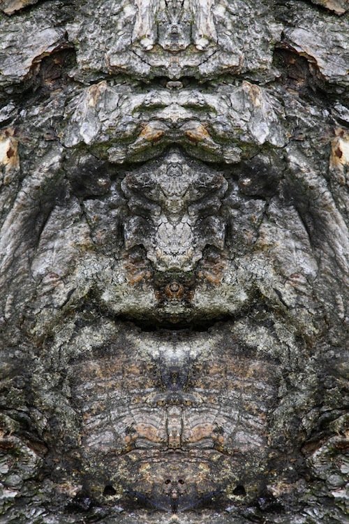 Я есть Грут (20 фото) Я есть Грут (20 фото)