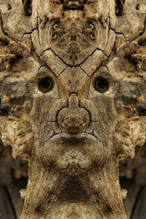 Я есть Грут (20 фото) Я есть Грут (20 фото)