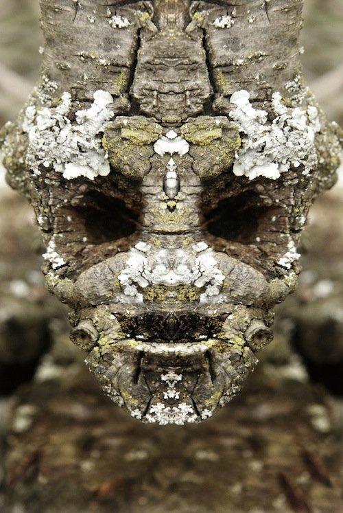 Я есть Грут (20 фото) Я есть Грут (20 фото)