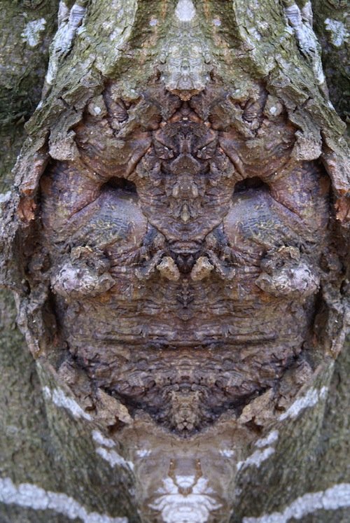 Я есть Грут (20 фото) Я есть Грут (20 фото)