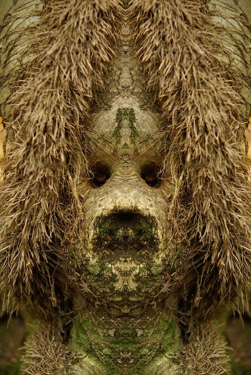 Я есть Грут (20 фото) Я есть Грут (20 фото)