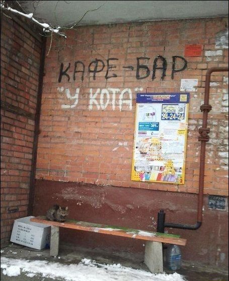 Смешные вывески, объявления и надписи (18 фото) Смешные вывески, объявления и надписи (18 фото)