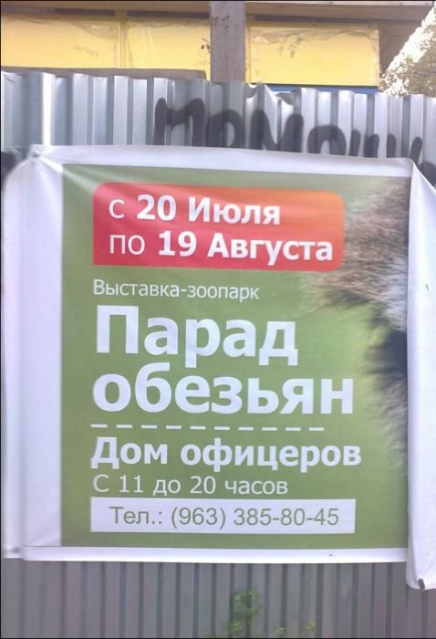 Смешные вывески, объявления и надписи (18 фото) Смешные вывески, объявления и надписи (18 фото)
