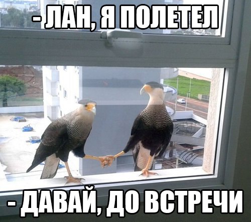 Фото-приколов много не бывает! (47 шт)