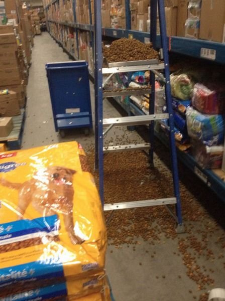 Сплошные казусы да упсы (18 фото) Сплошные казусы да упсы (18 фото)