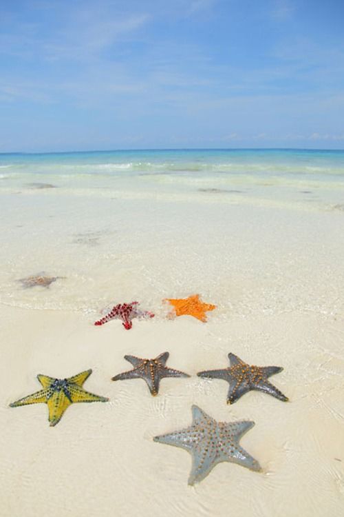 Пятничные прикольные картинки (46 шт) Пятничные прикольные картинки (46 шт)