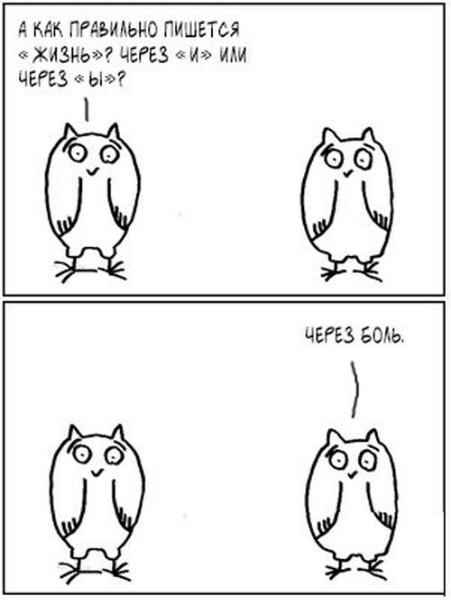 Классные юморные фотки и картинки (50 шт) Классные юморные фотки и картинки (50 шт)