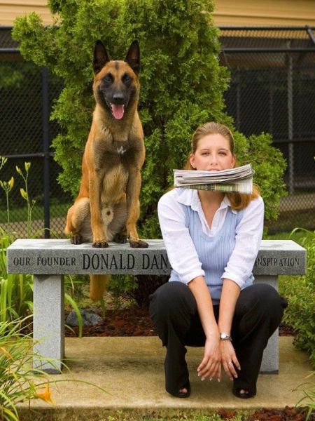 Классные картинки с приколами (42 шт) Классные картинки с приколами (42 шт)