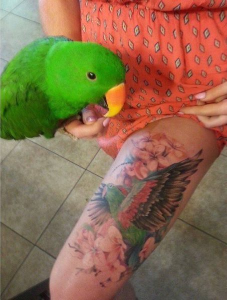 Классные картинки с приколами (42 шт) Классные картинки с приколами (42 шт)