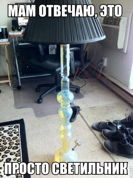 Новая коллекция фотомемов (25 шт) Новая коллекция фотомемов (25 шт)