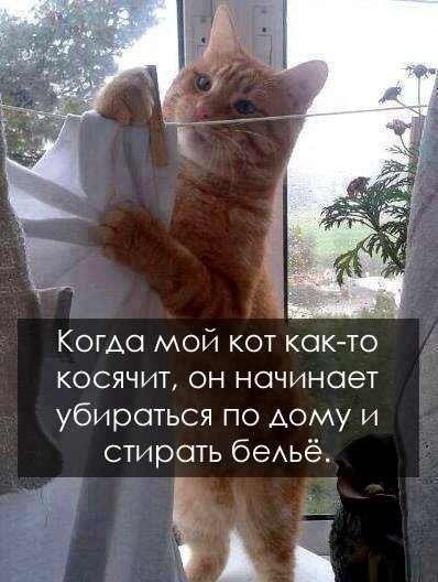 Новая коллекция фотомемов (25 шт) Новая коллекция фотомемов (25 шт)