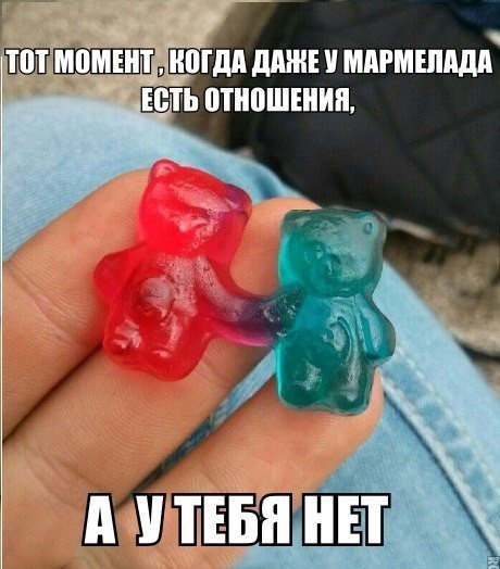 Новая коллекция фотомемов (25 шт) Новая коллекция фотомемов (25 шт)