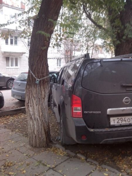 А в России тем временем... (21 фото) А в России тем временем... (21 фото)