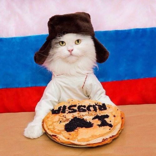 Классные юморные фотки и картинки (50 шт)