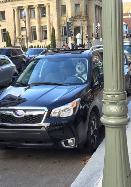 Классные картинки с приколами (51 шт) Классные картинки с приколами (51 шт)