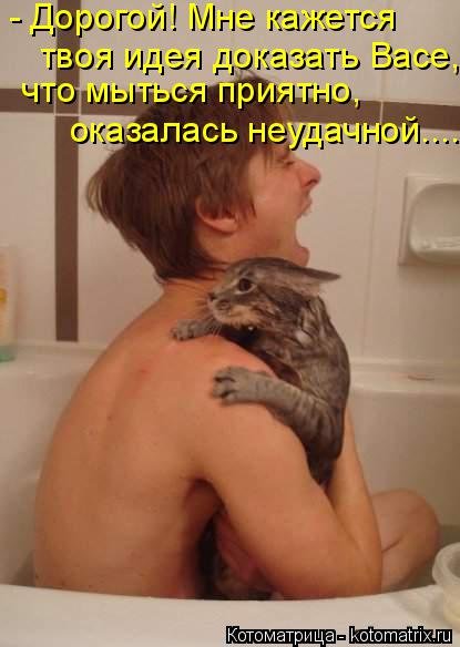 Лучшая котоматрица недели (35 фото) Лучшая котоматрица недели (35 фото)