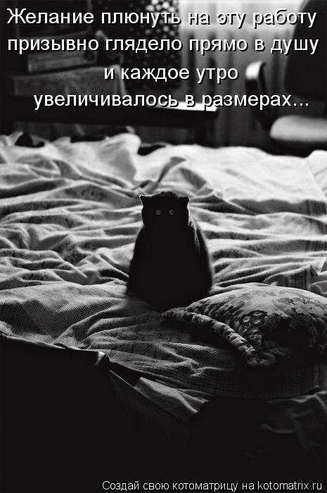 Лучшая котоматрица недели (35 фото) Лучшая котоматрица недели (35 фото)