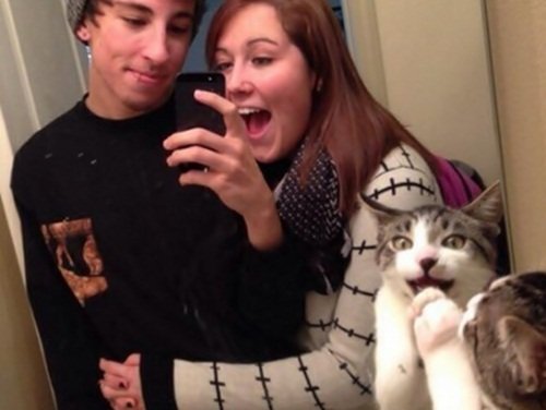 Фотобомбы с животными, которые вас рассмешат (22 фото) Фотобомбы с животными, которые вас рассмешат (22 фото)