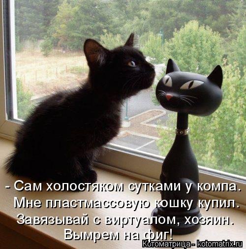 Лучшая котоматрица за неделю (31 шт) Лучшая котоматрица за неделю (31 шт)
