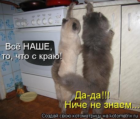 Свежая котоматрица на Бугаге (27 фото)