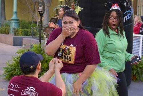 Смешные фотобомбы (16 шт)