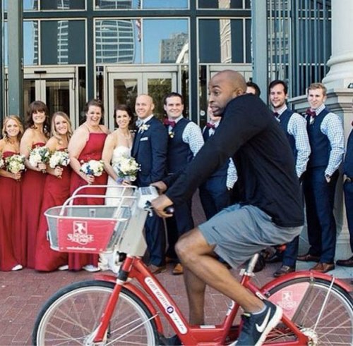 Смешные фотобомбы (16 шт)