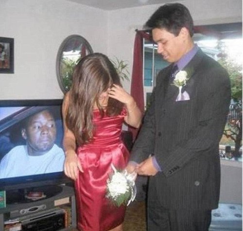 Смешные фотобомбы (16 шт)