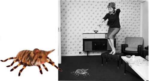 Животные-гибриды, которых, к счастью, не существует (36 фото)