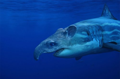 Животные-гибриды, которых, к счастью, не существует (36 фото)