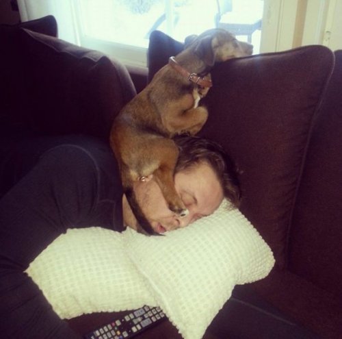 Уснувшие в самых неожиданных местах (34 фото)