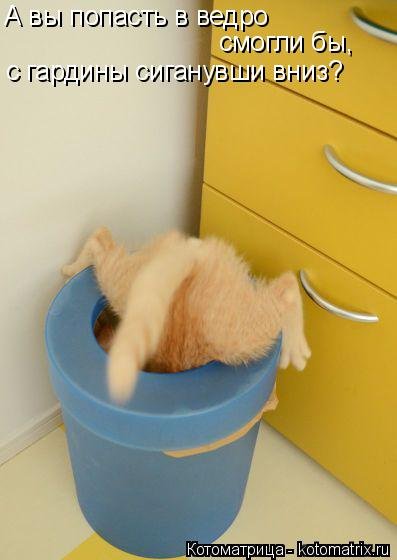 Лучшая котоматрица на Бугаге (29 шт) Лучшая котоматрица на Бугаге (29 шт)