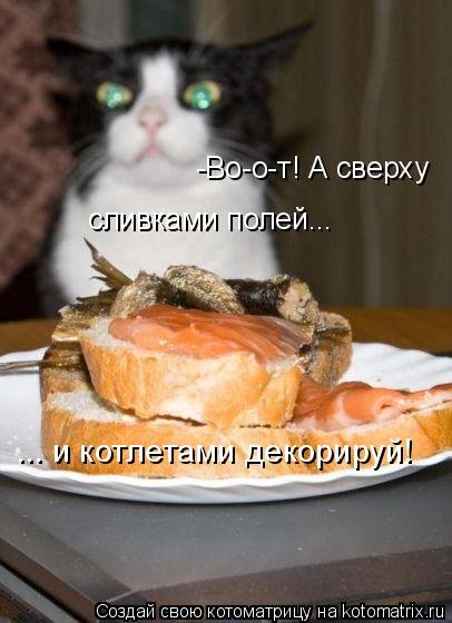 Лучшая котоматрица на Бугаге (29 шт) Лучшая котоматрица на Бугаге (29 шт)