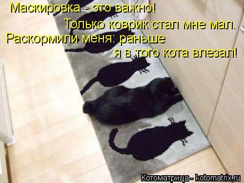 Лучшая котоматрица на Бугаге (29 шт) Лучшая котоматрица на Бугаге (29 шт)