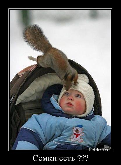 Прикольные демотиваторы (17 шт) Прикольные демотиваторы (17 шт)