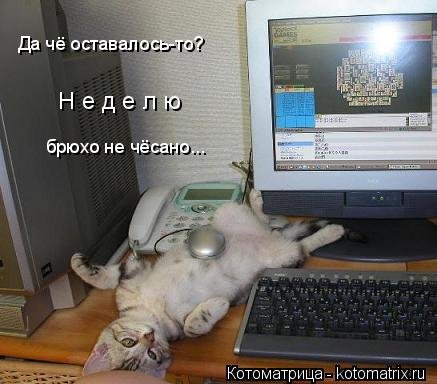 Лучшая котоматрица за неделю (32 фото) Лучшая котоматрица за неделю (32 фото)