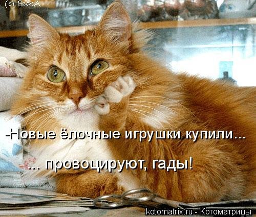 Лучшая котоматрица за неделю (32 фото) Лучшая котоматрица за неделю (32 фото)