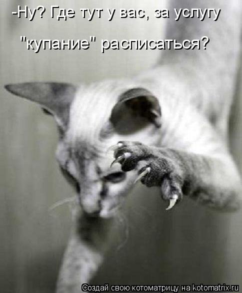 Лучшая котоматрица за неделю (32 фото) Лучшая котоматрица за неделю (32 фото)