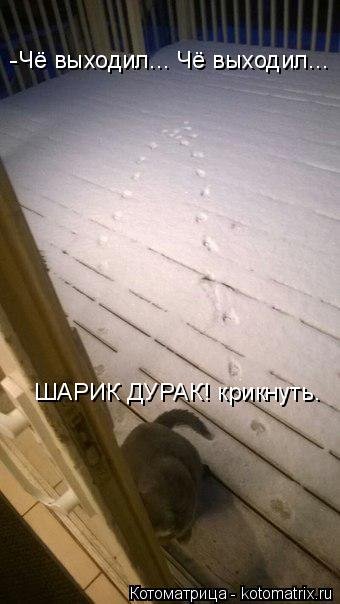 Лучшая котоматрица за неделю (32 фото) Лучшая котоматрица за неделю (32 фото)