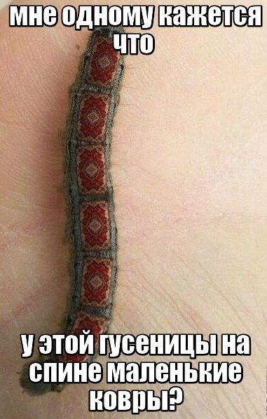 Картинки и фото с приколами (45 шт) Картинки и фото с приколами (45 шт)